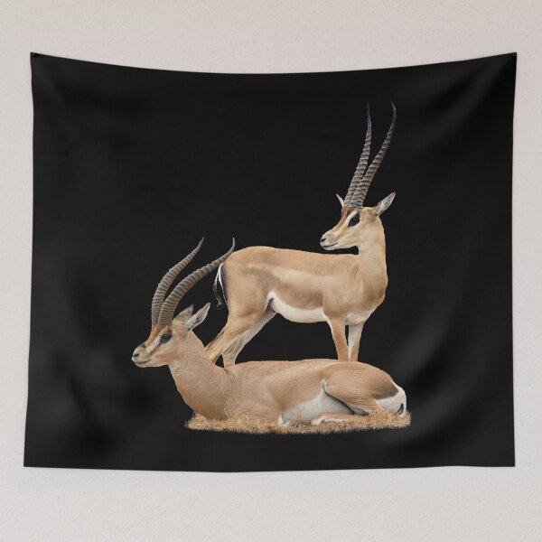 Item preview, Grant's gazelle - Gazelle, wildlife in Kenya / Africa designed and sold by TShirtsundMehr.