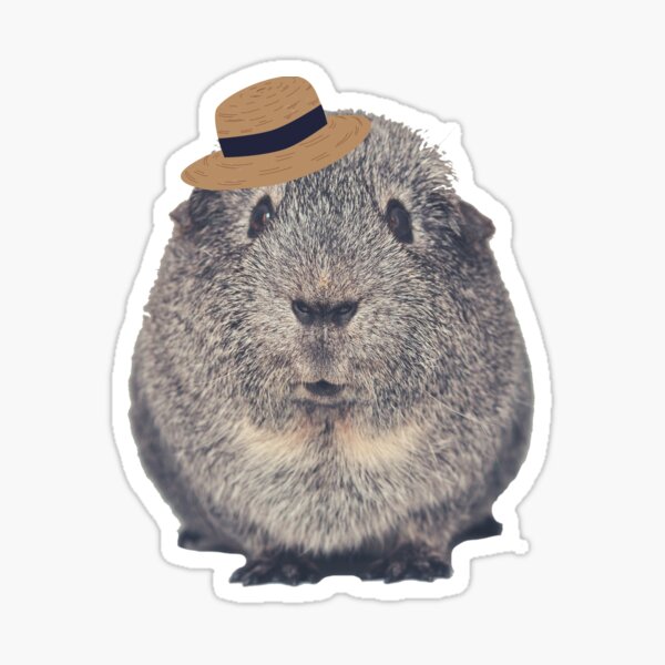 Cute Guinea Pig with Hat Sticker