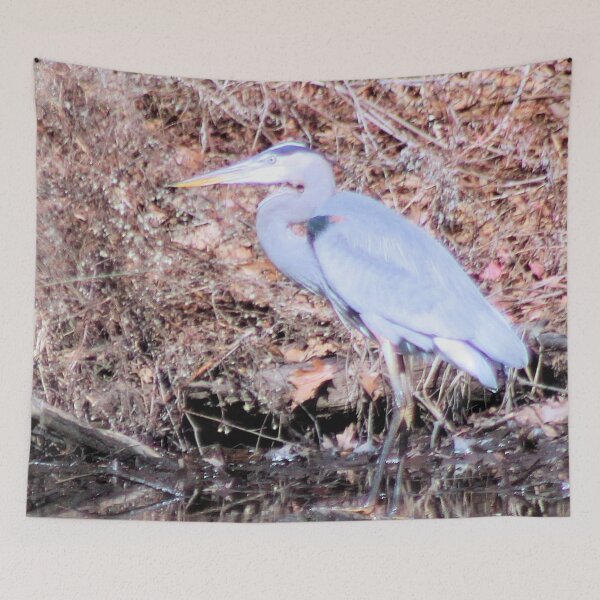 Item preview, GREY designed and sold by BOLLA67.