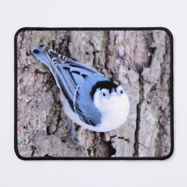 Item preview, STAREDOWN designed and sold by BOLLA67.