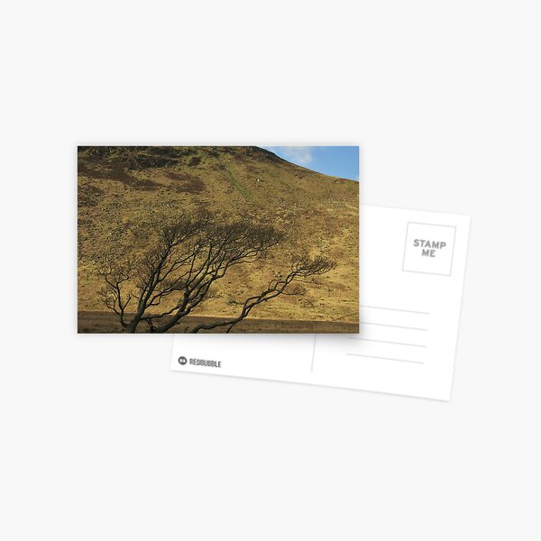 Item preview, A tree against a mountain backdrop, Isle of Arran, Scotland, early spring designed and sold by icomeinpeace2.