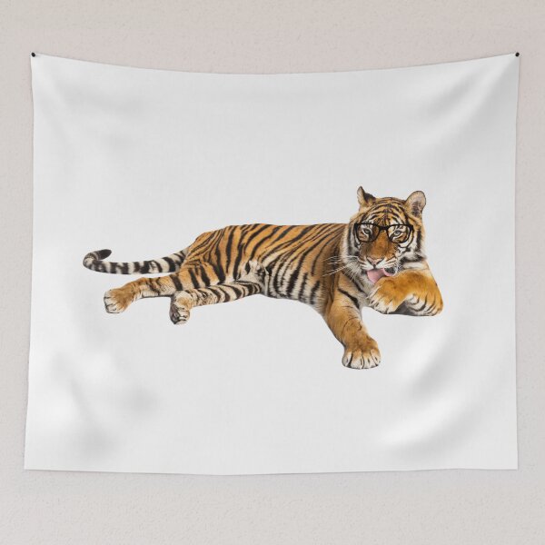 Item preview, Tiger, Smart Tiger, Nerd Tiger designed and sold by OutLoudDesigns.