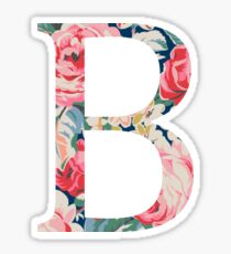 B/Beta Sticker