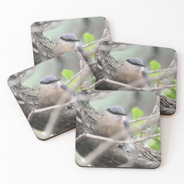 Item preview, nuthatch designed and sold by KathleenDawson.