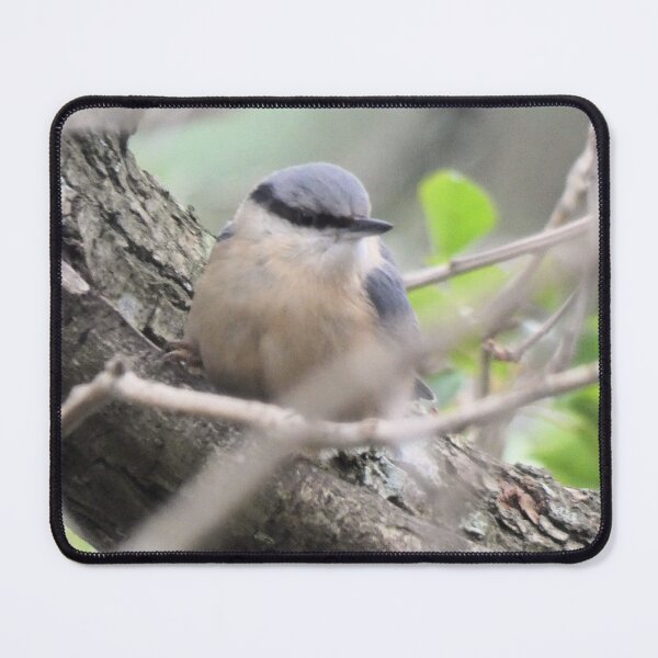 Item preview, nuthatch designed and sold by KathleenDawson.