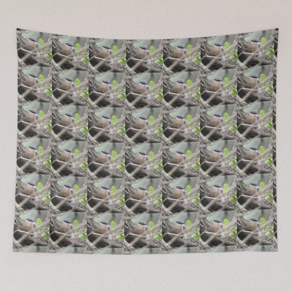 Item preview, nuthatch designed and sold by KathleenDawson.