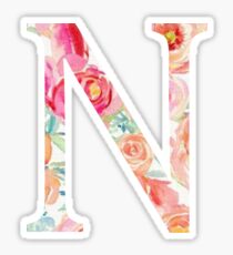 N/Nu Sticker