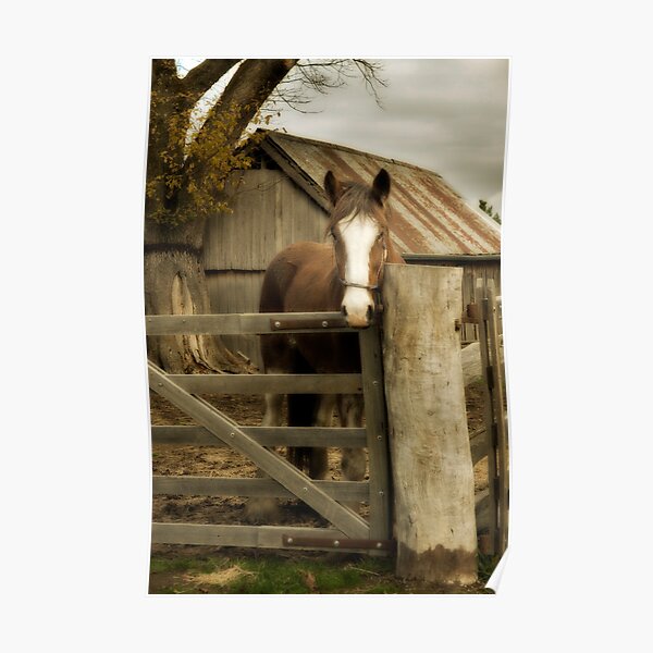 The Farmyard Poster