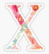 X/Chi Sticker