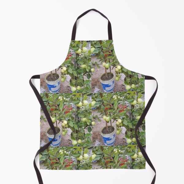 Item preview, Potted guava designed and sold by Saiamrita123.