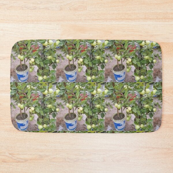 Item preview, Potted guava designed and sold by Saiamrita123.