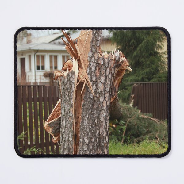 Item preview, stump broken by the wind tree designed and sold by mrivserg.