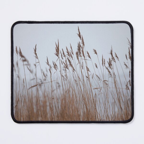 Item preview, beginning of winter it is snowing foreground panicles of dry reeds designed and sold by mrivserg.