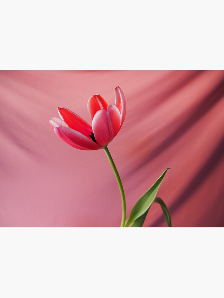 "What Kind of Flower Grows on Your Face?" Sticker by FrouFruit Redbubble