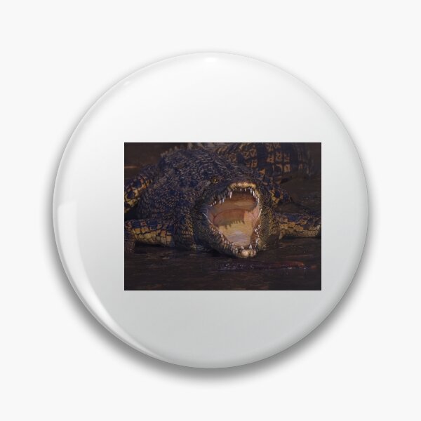 Item preview, GAPE OF GOOD HOPE Sticker designed and sold by patrickbouserat.