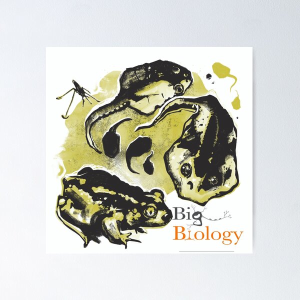 Item preview, The Amphibian Omnivore’s Dilemma designed and sold by BigBiology.