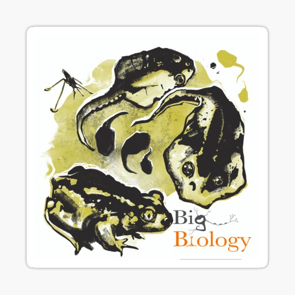 Item preview, The Amphibian Omnivore’s Dilemma designed and sold by BigBiology.