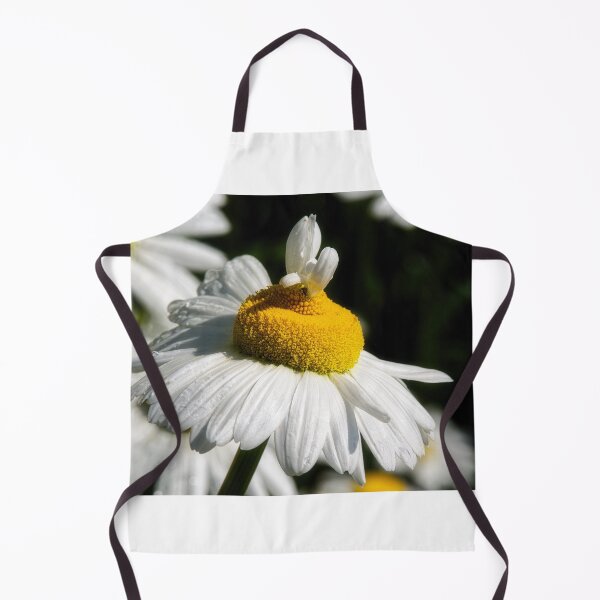 Item preview, Shasta Daisies designed and sold by Dorset Girl.