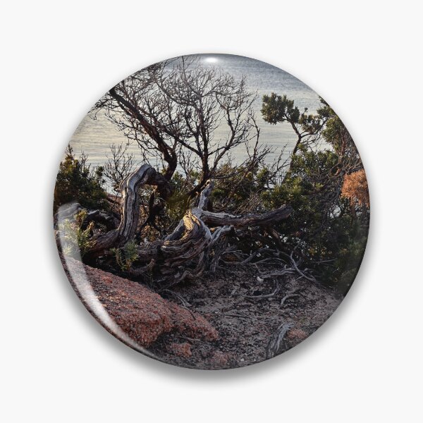Item preview, At Coles Bay shore designed and sold by andreisky.