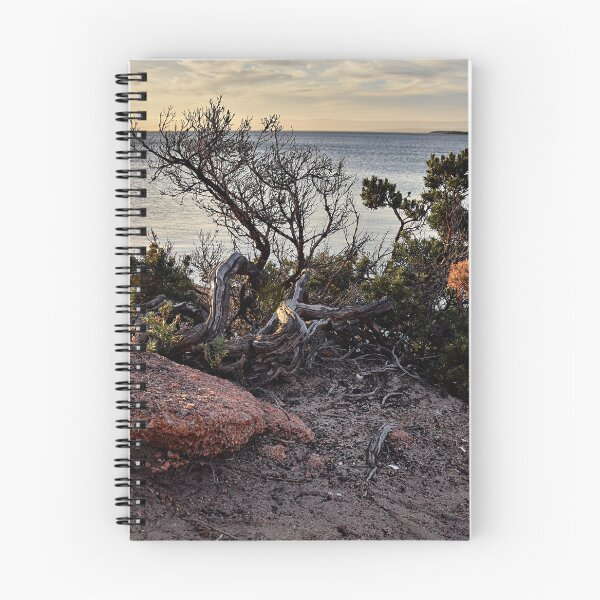 Item preview, At Coles Bay shore designed and sold by andreisky.