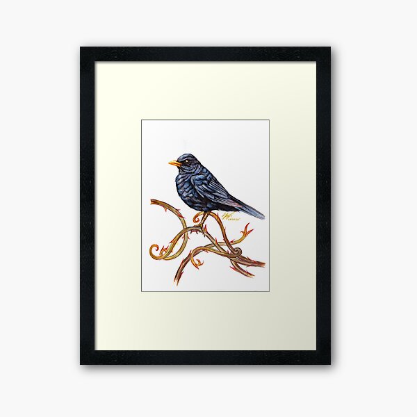 Blackbird and Thorns Framed Art Print