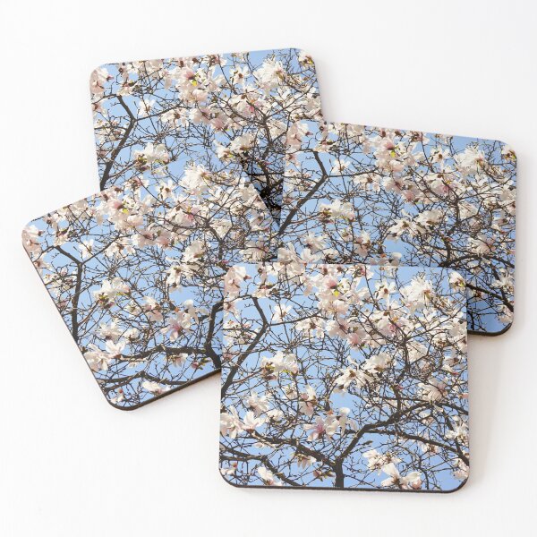 Item preview, White magnolia tree branches from below designed and sold by CarolinaReina.