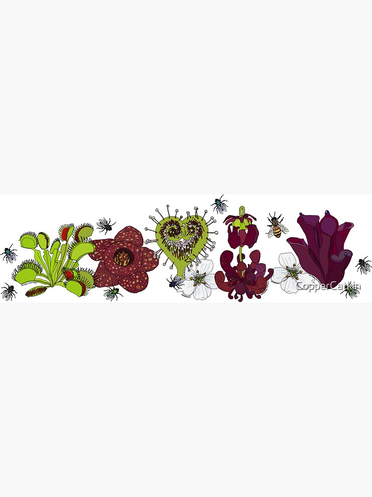 Insectivorous plants - array by CopperCatkin