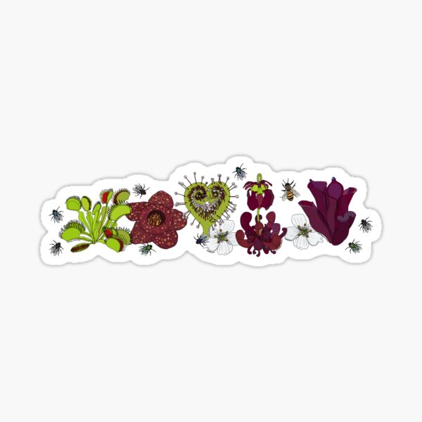 Insectivorous plants - array Sticker