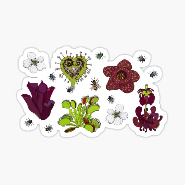 Insectivorous plants - scattered Sticker