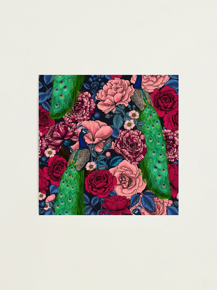 Thumbnail 1 of 3, Photographic Print, Peacocks in the rose garden designed and sold by katerinamk.