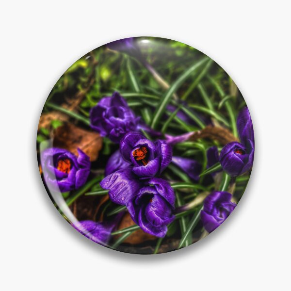 Item preview, Crocus Flowers designed and sold by axp7884.