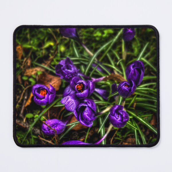Item preview, Crocus Flowers designed and sold by axp7884.