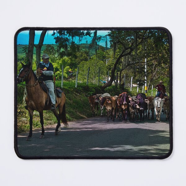 Item preview, La Marina Cattle Drive designed and sold by alabca.