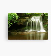 BURTON FALLS Canvas Print