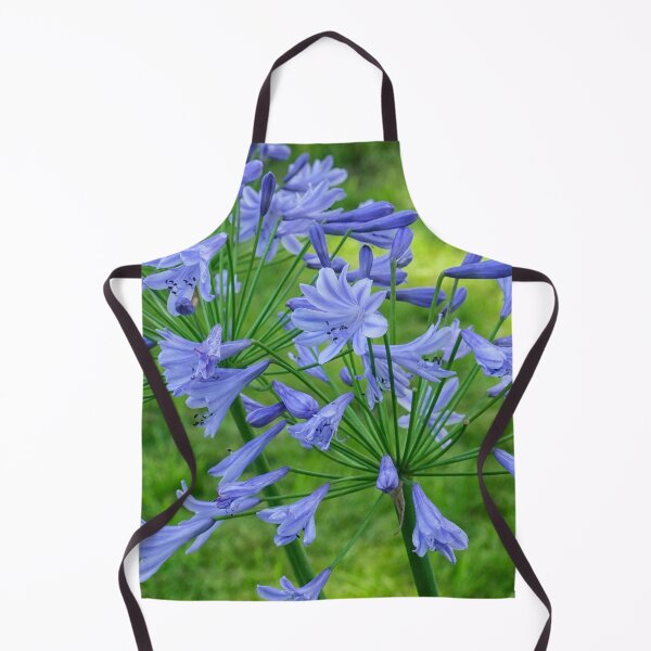 Item preview, Blue agapanthus flowers in garden designed and sold by Photopat.
