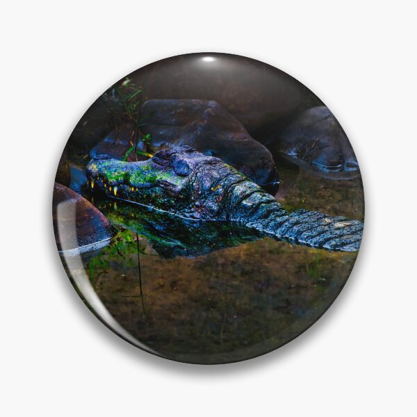 Item preview, Sleeping Caiman At Ukumari designed and sold by alabca.