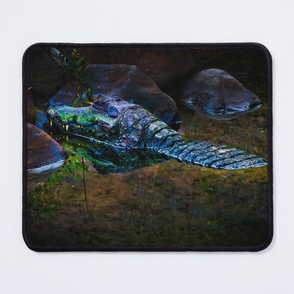 Item preview, Sleeping Caiman At Ukumari designed and sold by alabca.