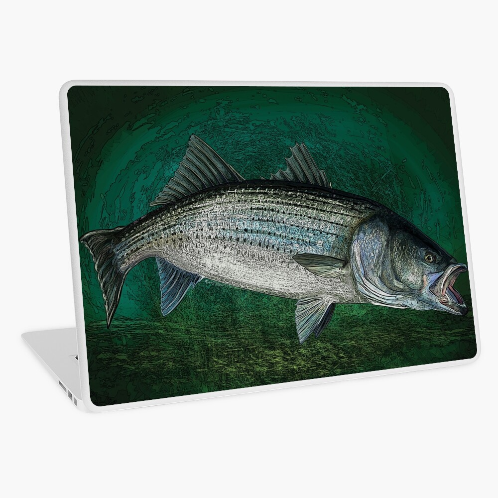 Striped Bass Fishing Art Print Art Print for Sale by fishweardesigns