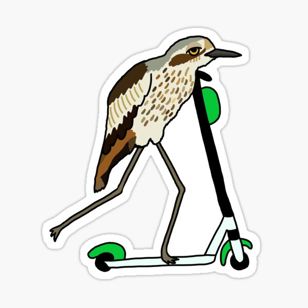 Item preview, Bush-stone Curlew on a Scooter Green designed and sold by Digitaldingo.