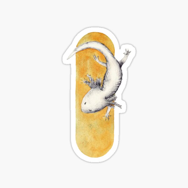Hello, little Axolotl Sticker