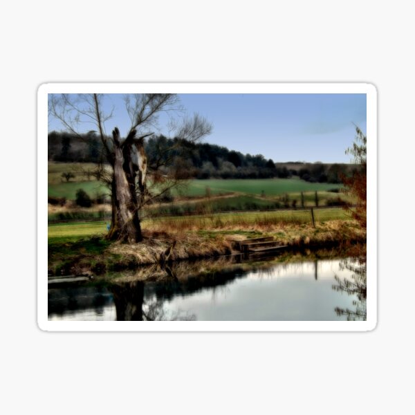 Alter Baum am Fluss Sticker