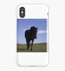 Saying Hello. iPhone Case/Skin