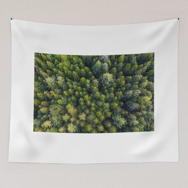 Item preview, forest in the Black Forest designed and sold by dieterich.