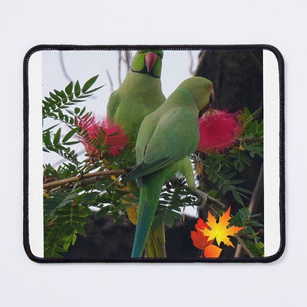 Item preview, Parrots designed and sold by Saiamrita123.
