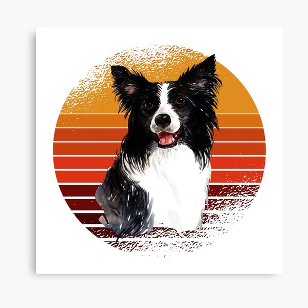 Border Collie Dog puppy available as Framed Prints, Photos, Wall Art and  Photo Gifts