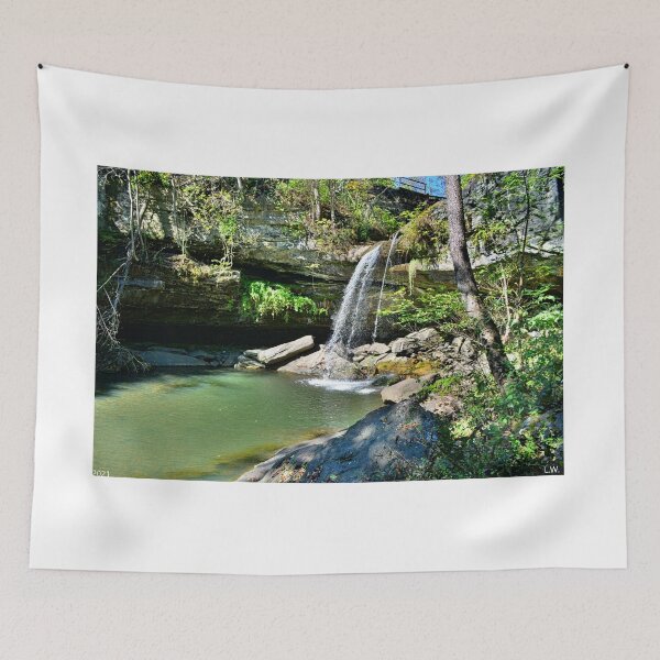 Item preview, Buttermilk FallsHomewood Falls Beaver PA 2 designed and sold by LisaWootenPhoto.