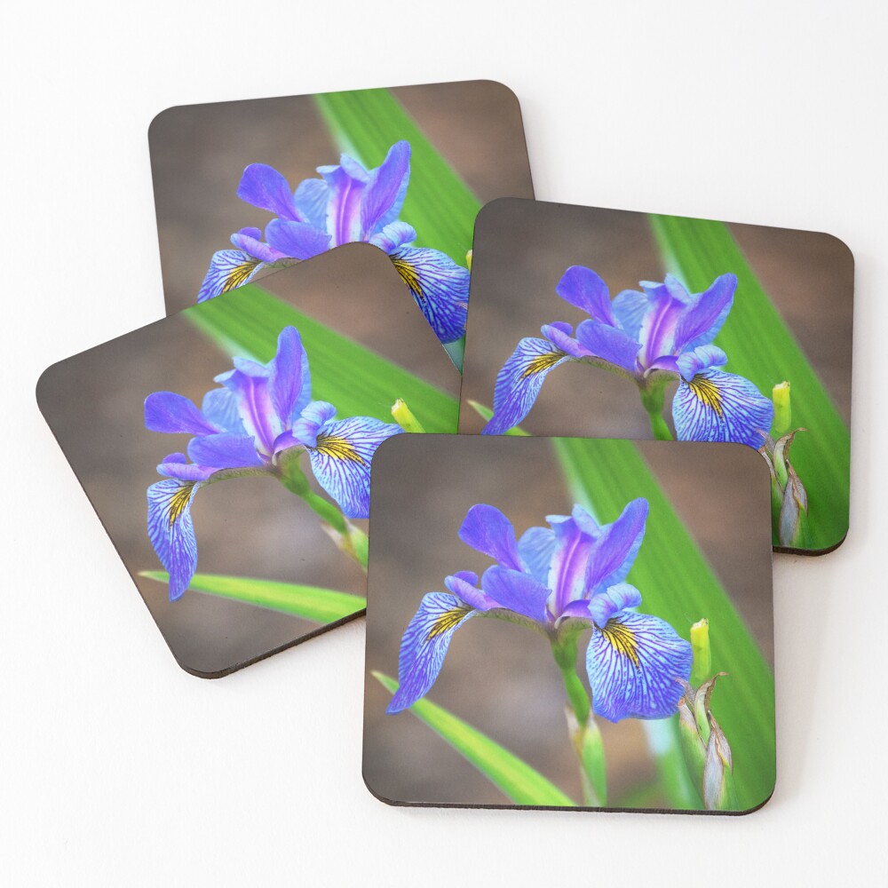Item preview, Coasters (Set of 4) designed and sold by Reriginal.