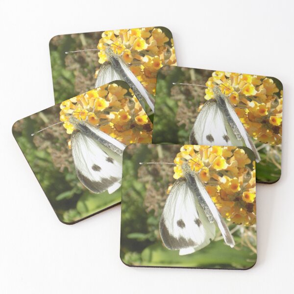 Item preview, Large White butterfly designed and sold by Photos-by-Eddie.