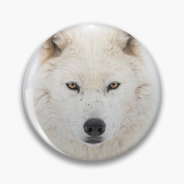 Item preview, Arctic Wolf Portrait designed and sold by James Cumming.