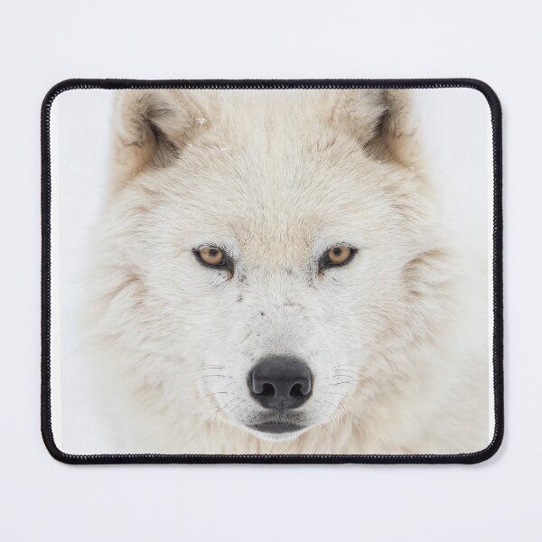 Item preview, Arctic Wolf Portrait designed and sold by James Cumming.